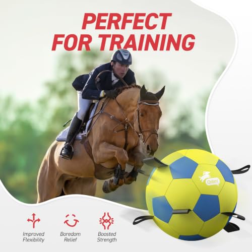 25 Inch Herding Ball for Dog with Straps (Yellow / 25 Inch)