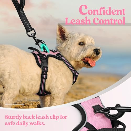 Dog Harness No Pull with 2 Leash Clips (X-Small / Pink)
