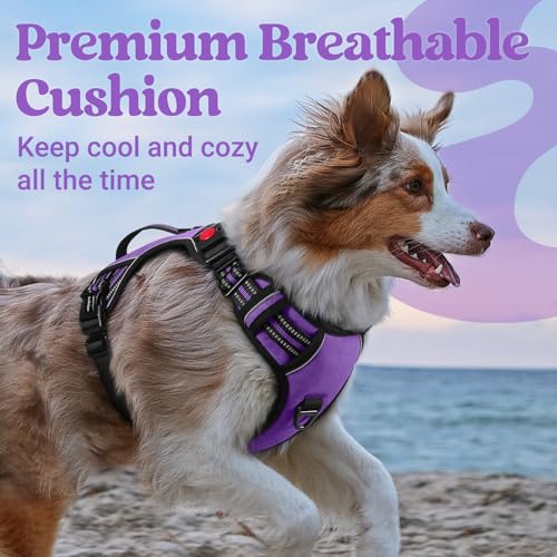 Large Dog Harness (Small / Purple)