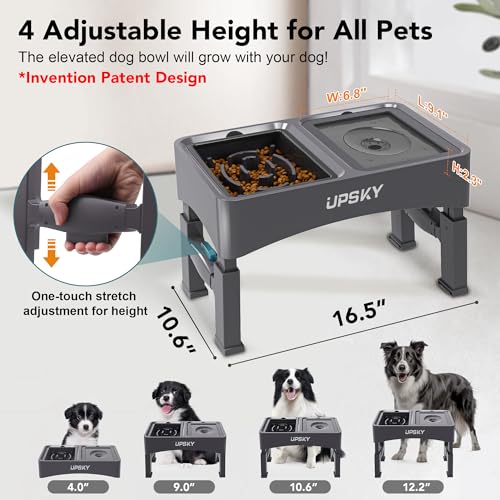 2-in-1 Elevated Dog Bowls Set with 4 Height Adjustable Stand, Gray (A-Water Bowl+Slow Feeder (Grey))