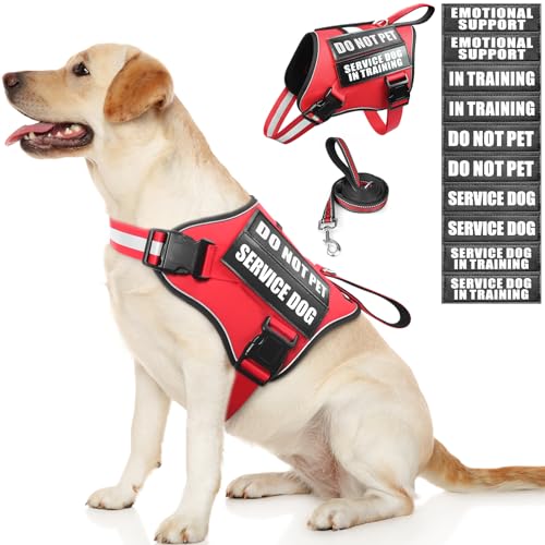 Service Dog Vest Harness and Leash Set+10 Patches (Large / Red)