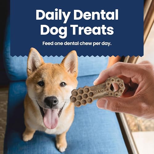 Large Dental Chews Bundle (1.38 Pound (Pack of 4))