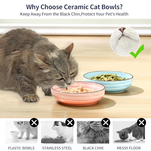 Ceramic Cat Bowls Set of 6 (5.6 Inch, Set of 6 / Gradient Color)
