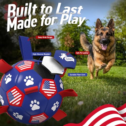 Dog Balls with Straps (Flag / 9 Inch)
