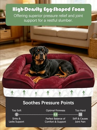 Orthopedic Dog Bed with Sides (42.0"L x 32.0"W x 6.5"Th / Burgundy)