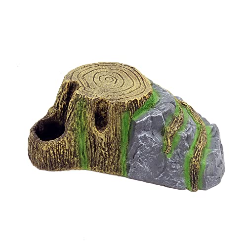 Bearded Dragon Tank Accessories Medium Reptile Hide