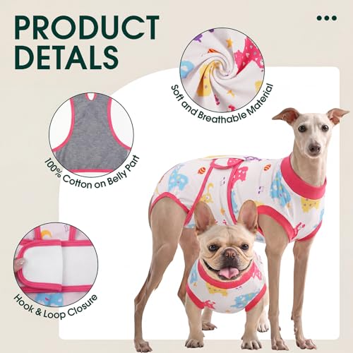 Dog Recovery Suit (Dreamy Pink / X-Small)