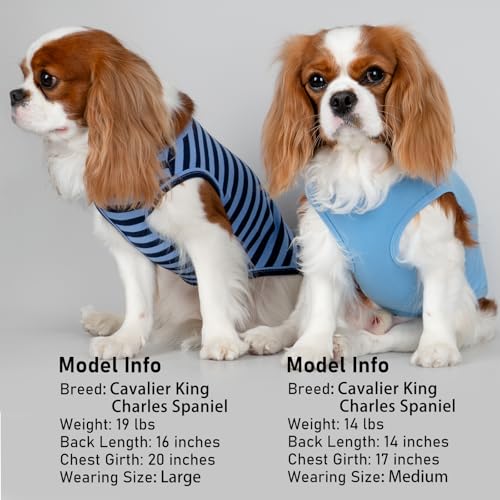 2Pack Cotton Dog Shirt for Small Dogs Soft Striped Tank Top (Medium (7-13lbs) / 02# 2Pack (Dark Blue+Striped))