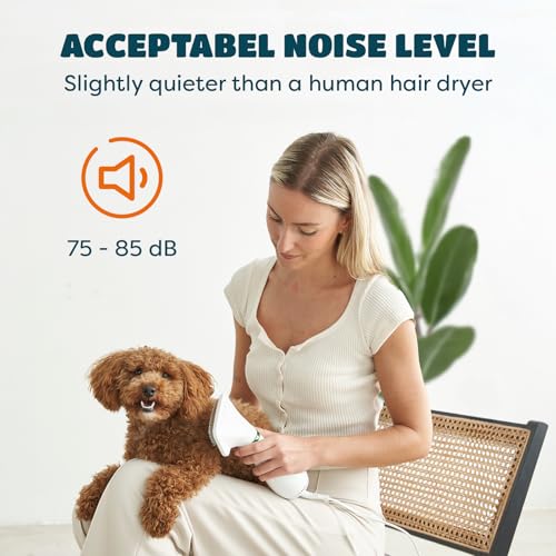 2-in-1 Dog Hair Dryer with Brush for Small Dogs and Cats, Pet Blow Dryer