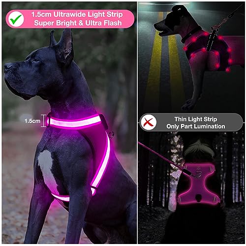 Light Up Dog Harness (Medium / Pink)