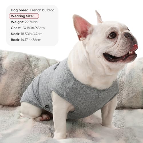 3 Pack Lightweight Sun Protection Dog Shirt Breathable Sleeveless Dog T Shirts Extra Soft Top Tank Dog Clothes for Outdoor Activities (Dark Gray + Sky Blue + Lake Blue / XXS (Back: 8.7",Chest: 13.8", Neck 9.5"))