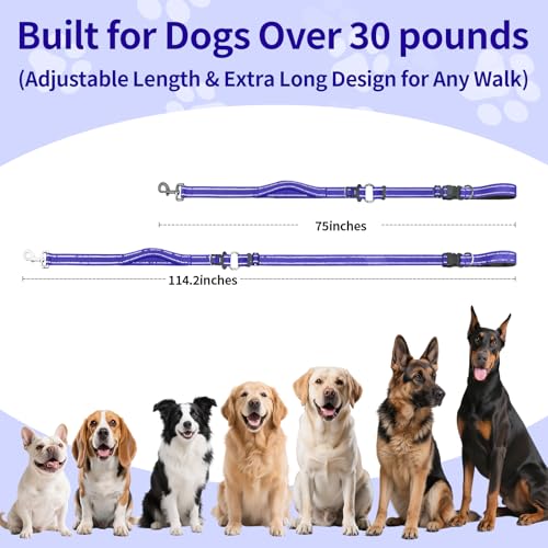 Hands Free Dog Leash by Kazazoo (Blue / L)