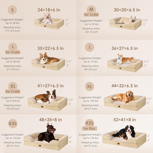 Orthopedic XXL Dog Bed (Graige / 48.0"l X 35.0"w X 8.0"th)