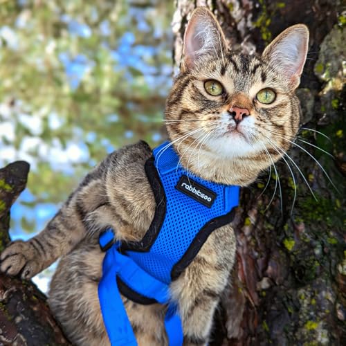 Cat Harness and Leash Set (S / Navy Blue)