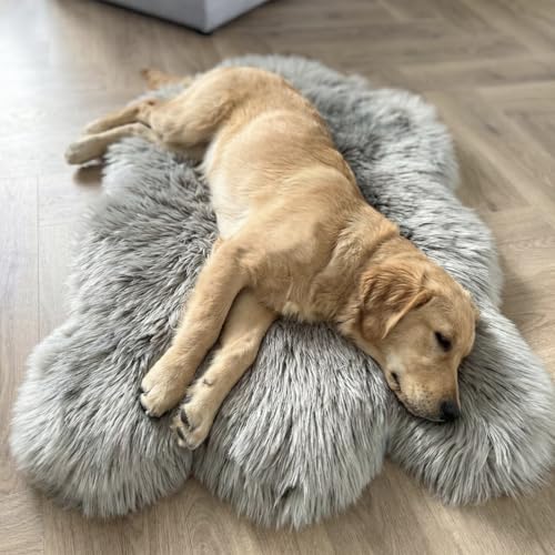 Faux Fur Orthopedic Dog Bed (Grey / Medium)