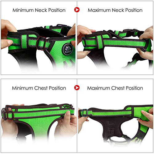Dog Harness for Small Sized Dog (Green / Small)