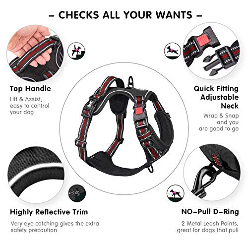 Dog Harness Medium (Medium / Black with Red)