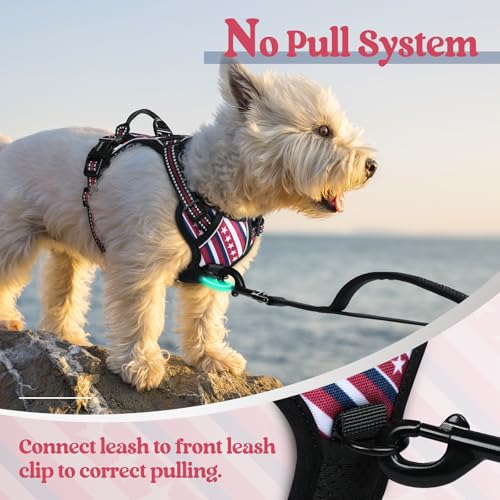 Dog Harness No Pull for Small Dogs with 2 Leash Clips (X-Small / Red Stripe)