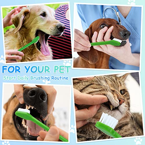70 Pcs Dog Toothbrush Bulk Pets Dual Headed Dental Brushes (Green)