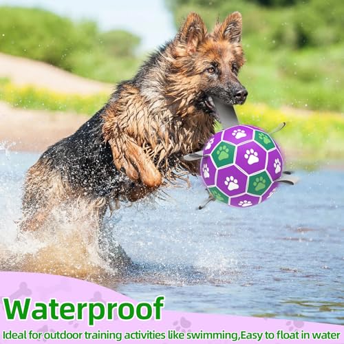 Dog Toy Balls (6 Inch / Purple Green)