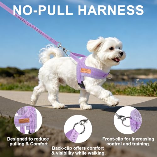Small Dog Harness and Leash Set (Light Purple / S: Chest 17.5"-22")