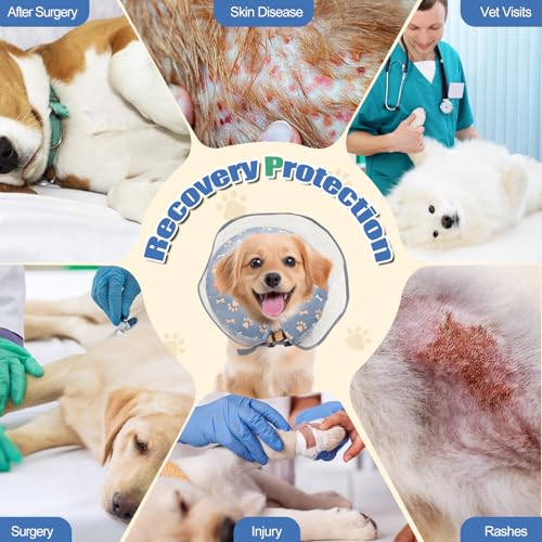 Inflatable Dog Cone Collar After Surgery (Gray / M)