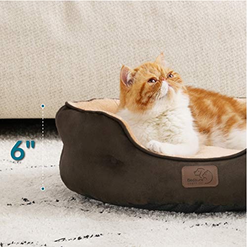Small Dog Bed Washable (20"L x 19"W x 6"Th / Brown)