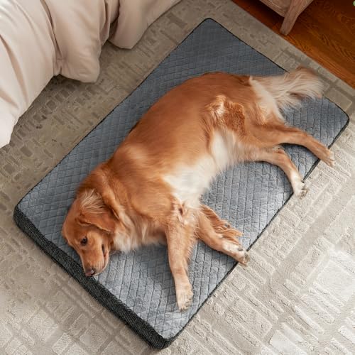 Orthopedic Dog Bed for Large Dogs (L(35"x22") / Light Grey)
