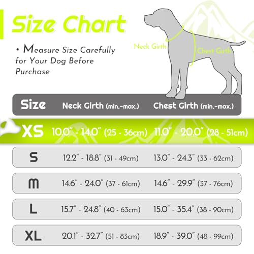 Dog Harness for Small Dogs (X-Small / Green)