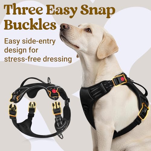 Large Dog Harness (Large / Black)