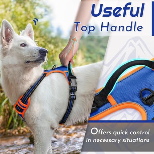 Dog Harness for Medium Sized Dogs (Medium / Blue & Orange)