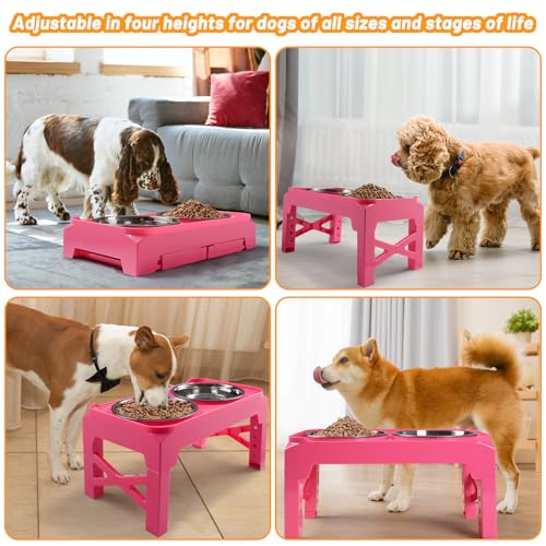 Elevated Dog Bowls with 2 Stainless Steel Dog Food & Water Raised Bowls with No Spill Edge Non (S (6" for Small Dogs) / Pink)