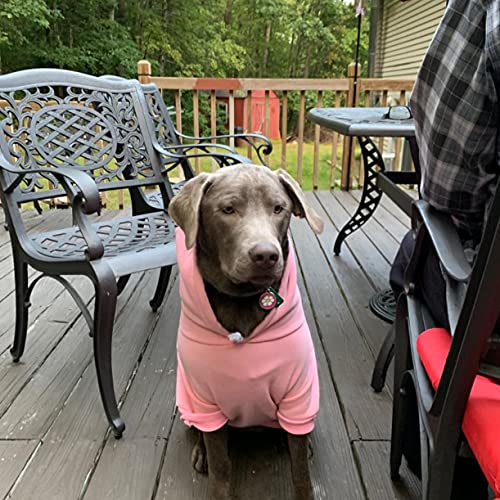 Princess Dog Hoodie (XXL (Back: 30",Chest: 37", Neck: 27") / Pink(Prinecss))