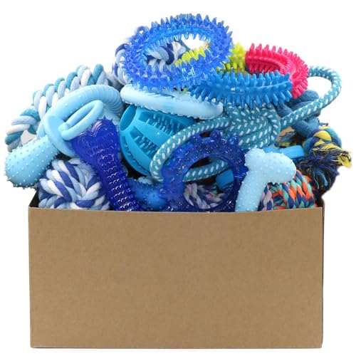 20 Pack Puppy Chew Toys (Multicolour20)