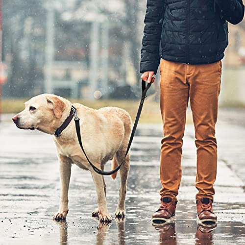 Heavy Duty Dog Leash for Medium Large Dogs (4 Feet (Pack of 1) / Black)
