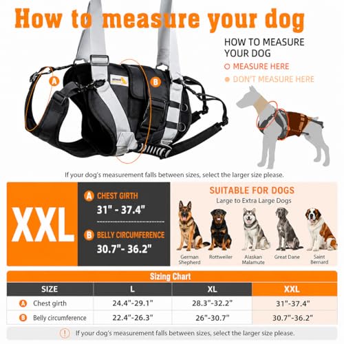 Dog Lift Harness for Large Dogs (Black / XX-Large)