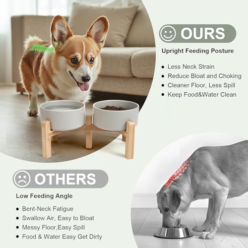 Elevated Dog Bowls Ceramic (6.1 in - 3.6 cups / Grey)