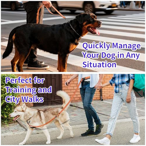 Hands Free Dog Leash by Kazazoo (ORANGE Bungee / M)