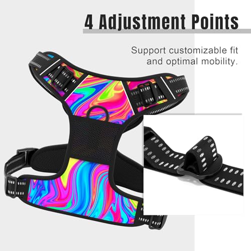 No Pull Dog Harness (Abstract Rainbow Art / X-Large)