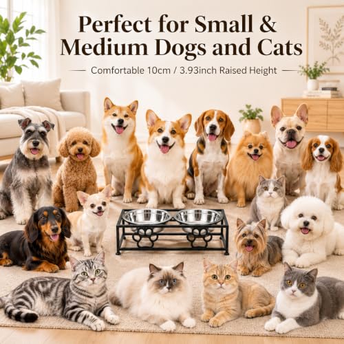Raised Dog Bowls for Small Dogs (BLACK)