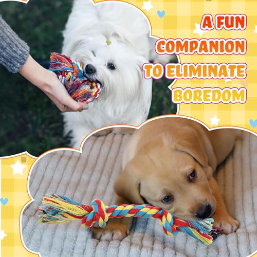 100 Pcs Knot Rope Dog Toys Multi Color