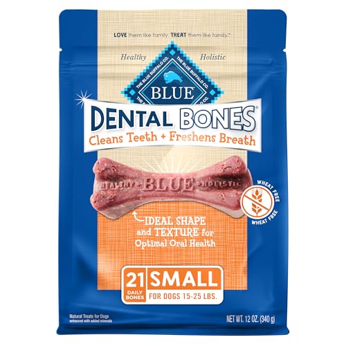 Small Dental Bones (12 Ounce (Pack of 1))