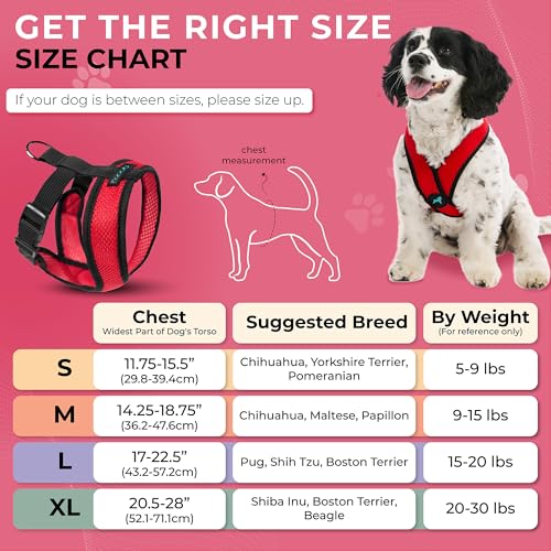Comfort X Head (X-Large Chest (20.5-28") / Red)