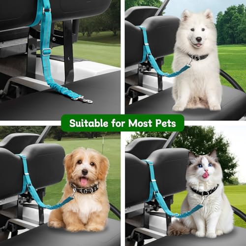 Golf Cart Dog Seat Leash (Blue)