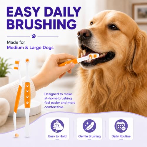 Dog Toothbrush (Orange / 1 Count (Pack of 2))