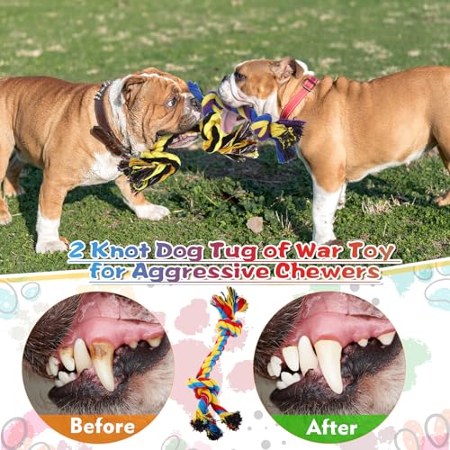 24 Pack Dog Rope Toys 10 Inch Cotton 2 Knot Chew for Large Dogs