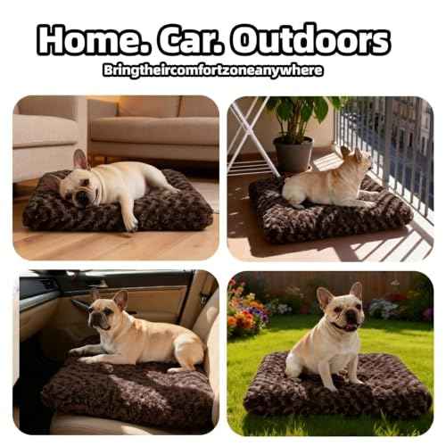 Dog Bed Medium Size (Coffee / 29"L x 21"W x 3"Th)