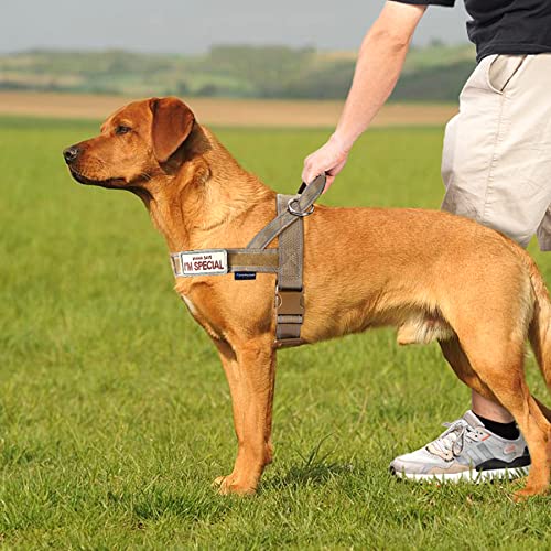 No Pull Dog Harness with Soft Padded Handle (M / Brown)