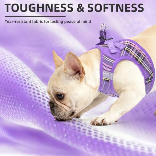 Dog Harness Collar and Leash Set No Pull for Small Medium Sized (Purple / M (CHEST 16"-18"))