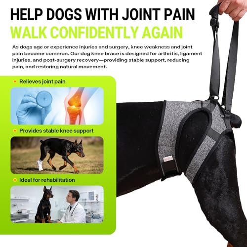 Dog Lift Harness (M / Grey)
